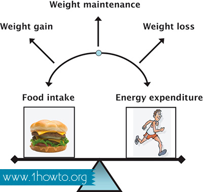 Energy Balance